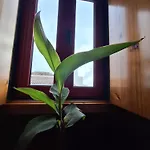Prázdninový dům Casa Do Poco *