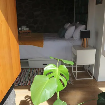 Holiday home Casa Do Poco Santa Barbara (Terceira)
